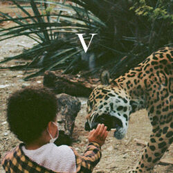 Nadja Tab by Unknown Mortal Orchestra