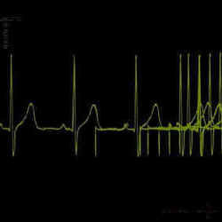 I'm A Fufufucking Vavavampire Tab by Usurp Synapse