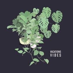 Home Tabs by VACATIONS
