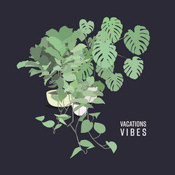 Young Bass tabs by VACATIONS