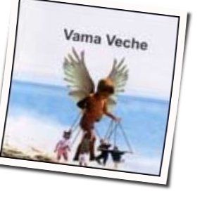 Vst by Vama Veche