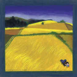 The All Golden Chords by Van Dyke Parks
