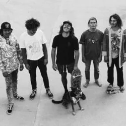 I'm Sold Chords by Vanilla Gorilla