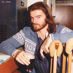 The Vanns chords for Chaka fan