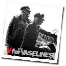 One Lost Year by Vaselines