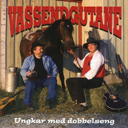 De E Helg Chords by Vassendgutane