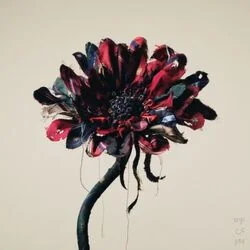 Yobigoe 呼び声 Chords by Vaundy