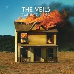 Grey Lynn Park Chords by The Veils