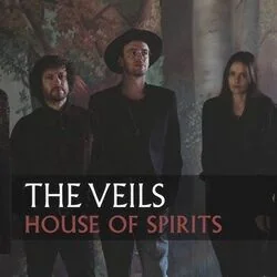 House Of Spirits Chords by The Veils