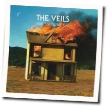 Through The Deep Dark Wood Chords by The Veils