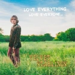 Bitter Pills Chords by Velvet Starlings