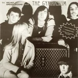 I'm Not A Young Man Anymore Tab by The Velvet Underground