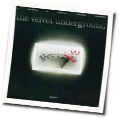 I'm Sticking With You by The Velvet Underground