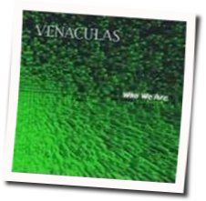 Rip It Up Tab by Venaculas