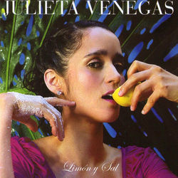 No Hace Falta by Julieta Venegas