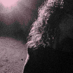 Play My Guitar Intro by Venturing