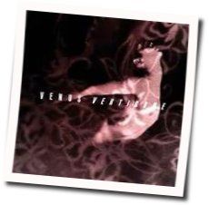 Beautiful Days Chords by Venus