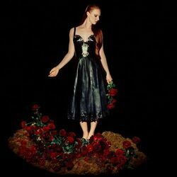 The Curse Chords by Vera Blue