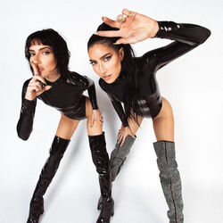 Stealing Cars by The Veronicas