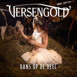 Dans Op De Deel Chords by Versengold
