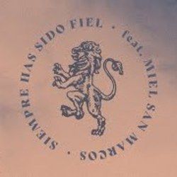 Siempre Has Sido Fiel Chords by Vertical Worship