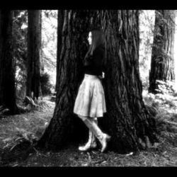 Angels Share Tab by Vetiver