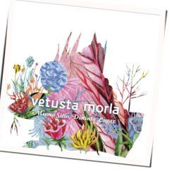 Consejo De Sabios Chords by Vetusta Morla