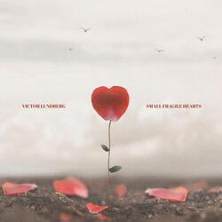 Small Fragile Hearts Chords by Victor Lundberg