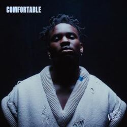 Comfortable Chords by Victor Ray