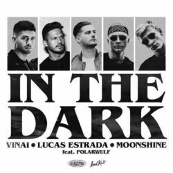 In The Dark Chords by Vinai, Lucas Estrada, Moonshine