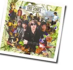 Merrygoround Tab by The Vines