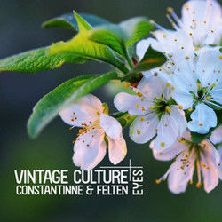 Eyes Chords by Vintage Culture