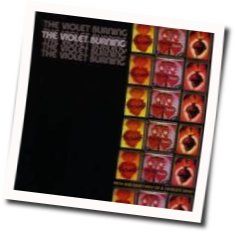 Forty Weight Chords by The Violet Burning