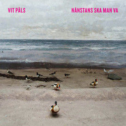 Partyn Och Bakfylledar Chords by Vit Päls