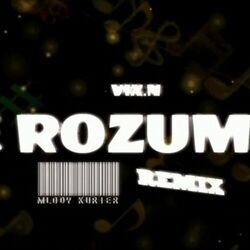 Ne Rozumiju Chords by Vix.n