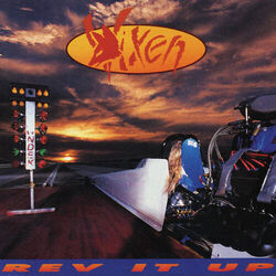 It Wouldn't Be Love Chords by Vixen