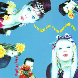 Trust Me Chords by Voice Of The Beehive