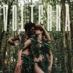 Panspermia by Volterra
