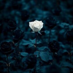 Dying To Be Different by Vous Worship