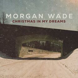 Merry Christmas Baby by Morgan Wade
