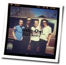 Gold Chords by Wake Owl