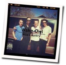 Gold Tabs by Wake Owl