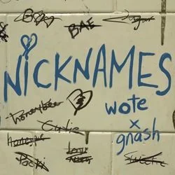 Nicknames Chords by Walk Off The Earth