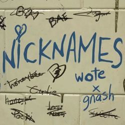Nicknames Chords by Walk Off The Earth