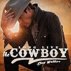 Rock The Radio by Clay Walker