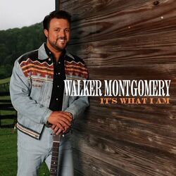 Never Had You Anyway Chords by Walker Montgomery
