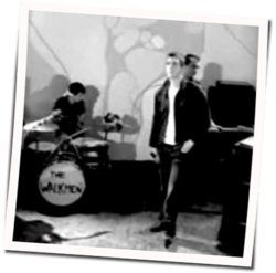 The Rat Tabs by The Walkmen