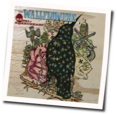 I Am A Building Chords by The Wallflowers