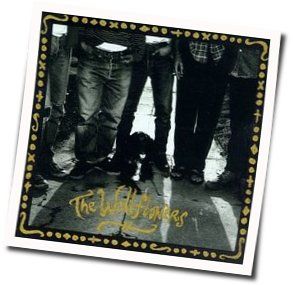 Laughing Out Loud Bass tabs by The Wallflowers