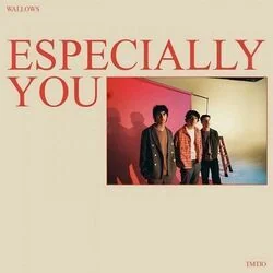 Especially You Bass Tab by Wallows